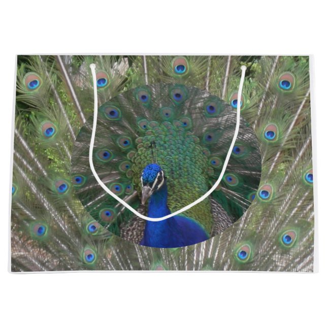 Bolsa de regalo para pavo real (Anverso)