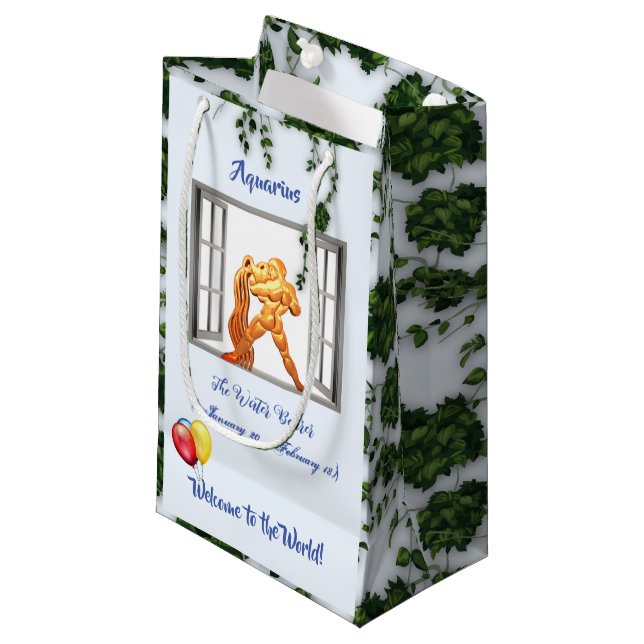 Bolsa De Regalo Pequeña Acuario Bebé (20 ene - 18 Feb.) (Angulo Anverso)