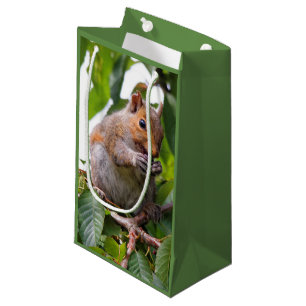 Bolsa De Regalo Pequeña Adorable ardilla gris oriental recogiendo cerezas