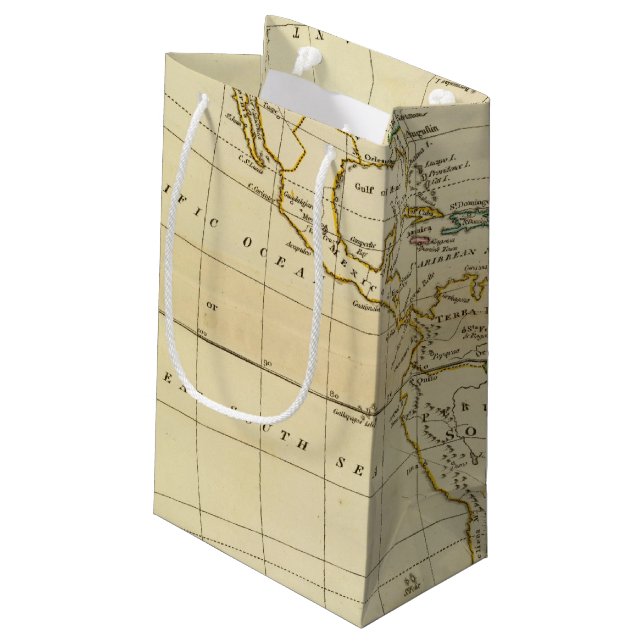 Bolsa De Regalo Pequeña América 7 2 (Angulo reverso)