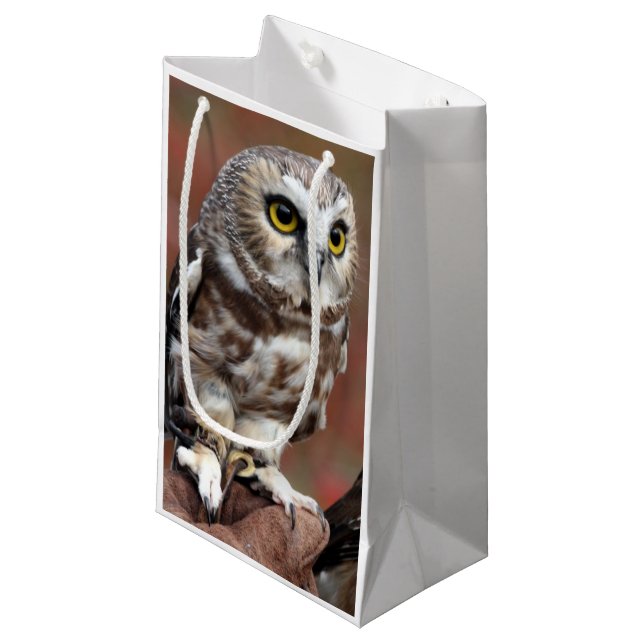 Bolsa De Regalo Pequeña Amigos (Angulo Anverso)