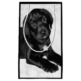 Bolsa De Regalo Pequeña Amor adolescente Labrador negro