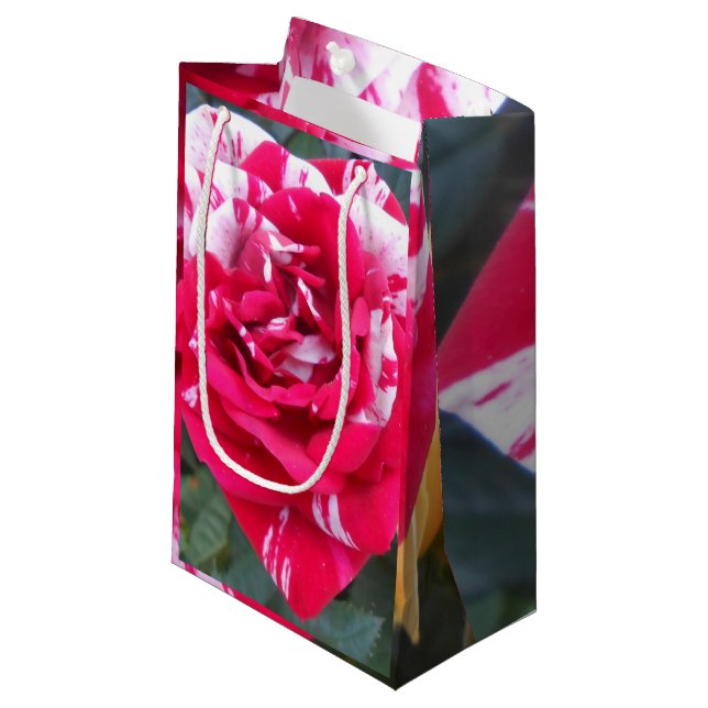 Bolsa De Regalo Pequeña Anicia (Angulo Anverso)