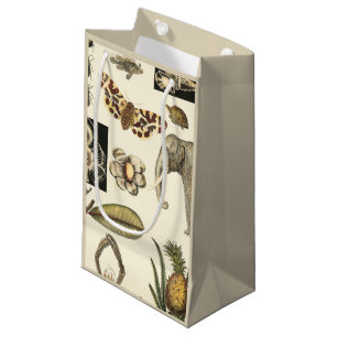 Bolsa De Regalo Pequeña Animales variados pintados de fondo crema