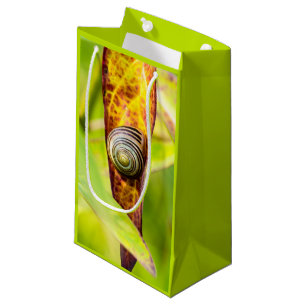 Bolsa De Regalo Pequeña apego