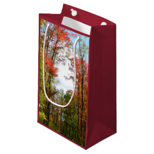 Bolsa De Regalo Pequeña Árboles caídos y fotografía de la naturaleza otoña