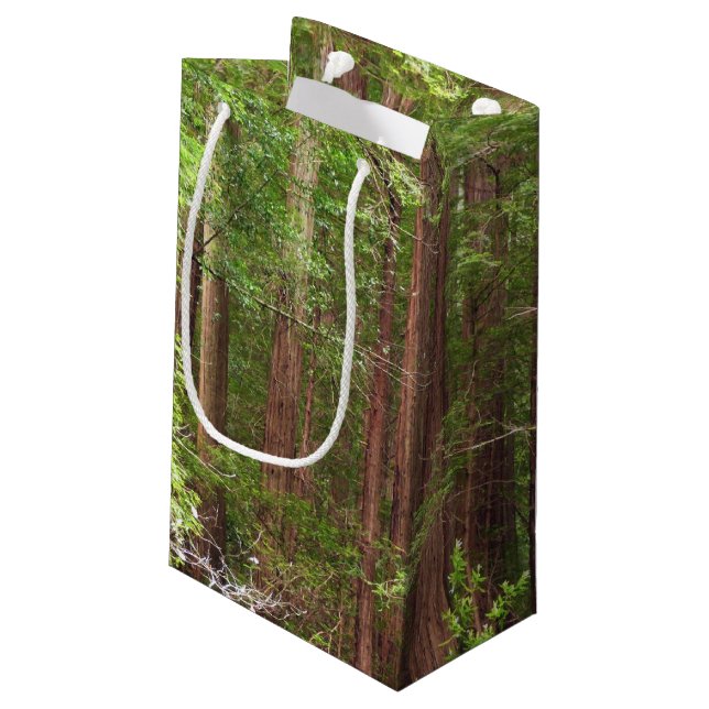 Bolsa De Regalo Pequeña Árboles de secuoya en monumento nacional Muir Wood (Angulo reverso)