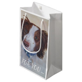 BOLSA DE REGALO PEQUEÑA AUBURN SETTER MIX