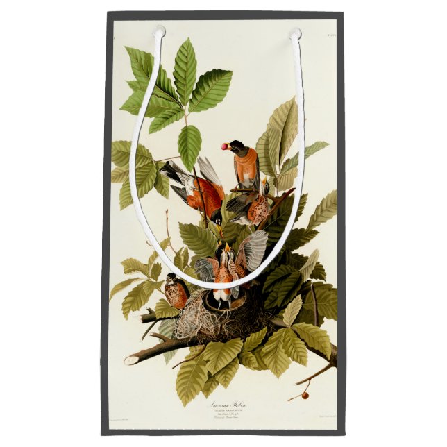 Bolsa De Regalo Pequeña Audubon American Robin Wildlife Bird Ilustracion (Anverso)