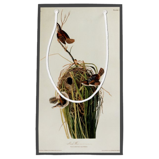 Bolsa De Regalo Pequeña Audubon Marsh Wren Bird Art (Anverso)