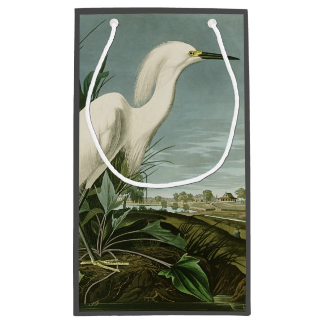 Bolsa De Regalo Pequeña Audubon Snowy Heron White Egret Bird Birding (Reverso)