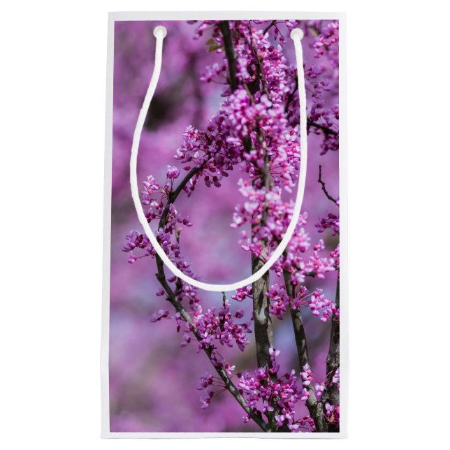 Bolsa De Regalo Pequeña Avondale Redbud Art (Anverso)