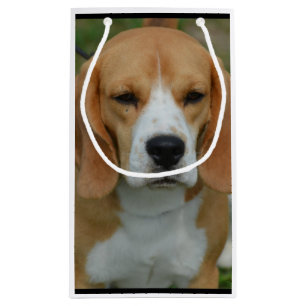 Bolsa De Regalo Pequeña Beagle adorable