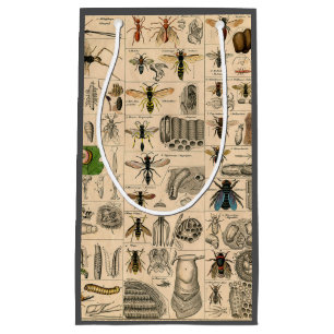 Bolsa De Regalo Pequeña Bee Insect Bug Wasp Abejas de Historia Natural