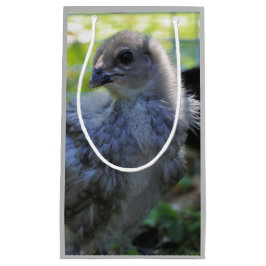 Bolsa De Regalo Pequeña Bluebell