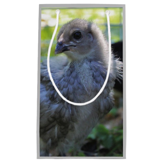 Bolsa De Regalo Pequeña Bluebell (Anverso)