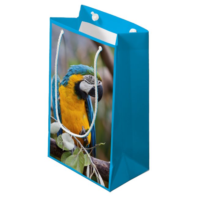 Bolsa De Regalo Pequeña Bolso azul y amarillo del regalo del Macaw (Angulo Anverso)