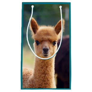 Bolsa De Regalo Pequeña Bolso del regalo de la alpaca del bebé pequeño