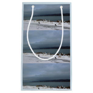 Bolsa De Regalo Pequeña Braving la tormenta junto