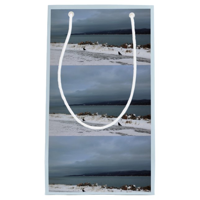 Bolsa De Regalo Pequeña Braving la tormenta junto (Anverso)