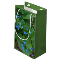 Bugloss siberiano - Azul y verde -