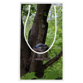 Bolsa De Regalo Pequeña Buscar una mordedura para comer