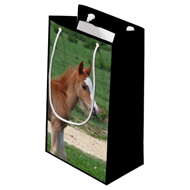 Bolsa De Regalo Pequeña Caballo (Angulo reverso)