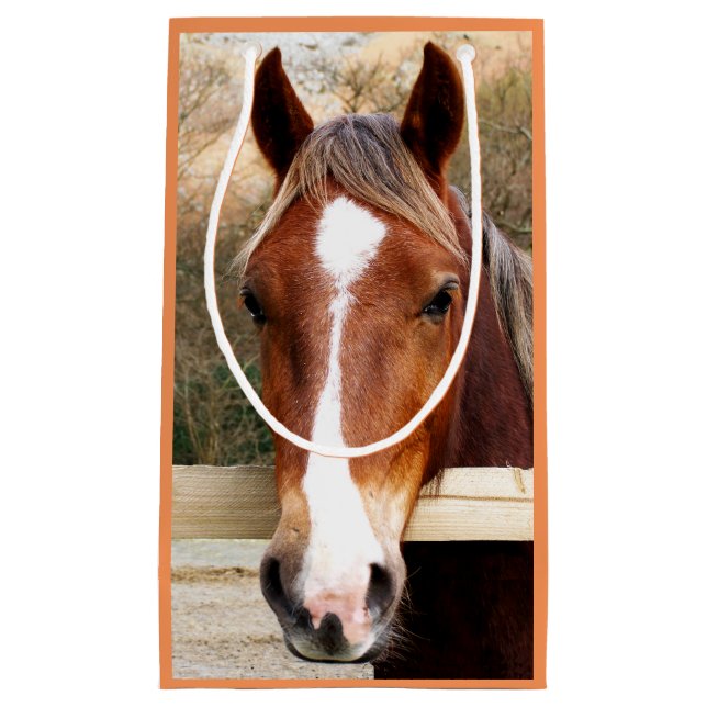 BOLSA DE REGALO PEQUEÑA CABALLOS (Anverso)