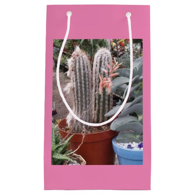 Bolsa De Regalo Pequeña Cactus Gift Bag (Anverso)
