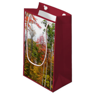 Bolsa De Regalo Pequeña Caída en la colorida fotografía de otoño en el bos