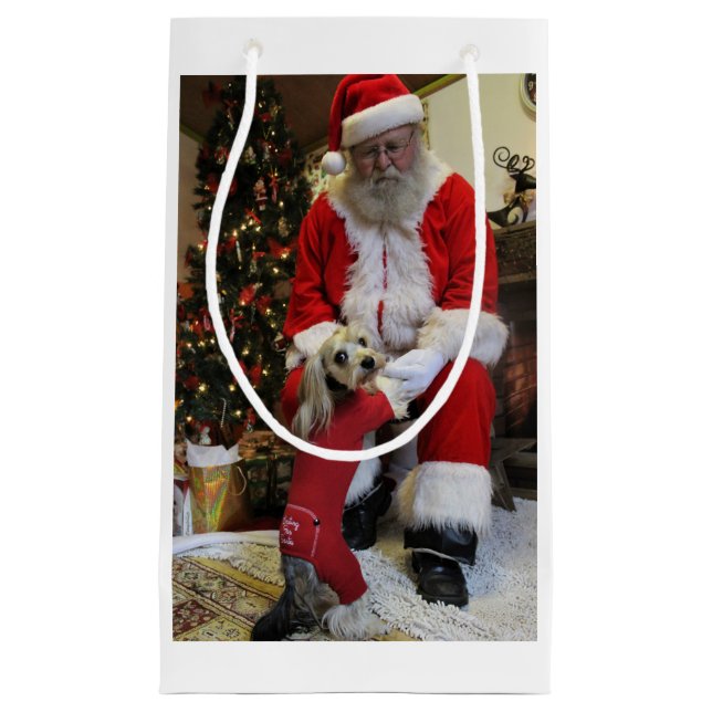 Bolsa De Regalo Pequeña Cauchutoso finalmente consigue resolver Santa (Anverso)