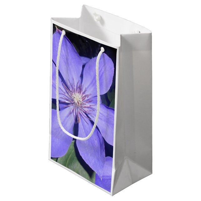 Bolsa De Regalo Pequeña Césarina (Angulo Anverso)