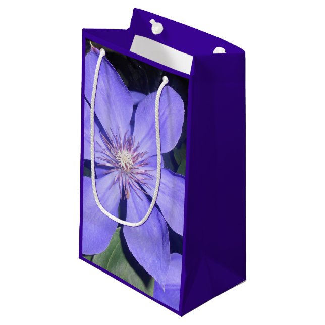 Bolsa De Regalo Pequeña Césarine (Angulo Anverso)