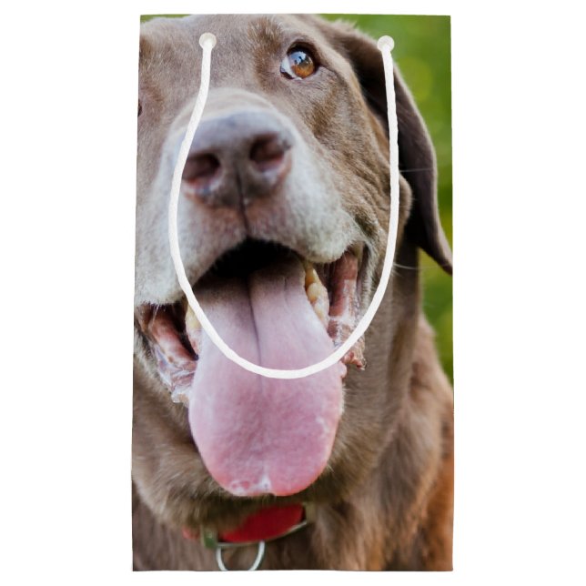 Bolsa De Regalo Pequeña Chocolate Lab Dog (Anverso)