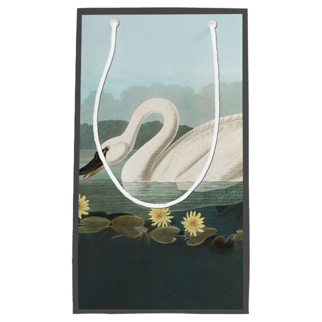 Bolsa De Regalo Pequeña cisnes de agua blanca de cisne audubon (Anverso)