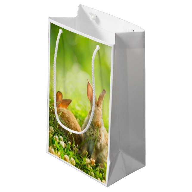 Bolsa De Regalo Pequeña Conejos de Pascua (Angulo Anverso)
