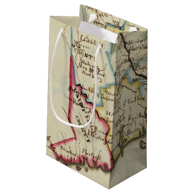 Bolsa De Regalo Pequeña Connecticut 11 (Angulo reverso)