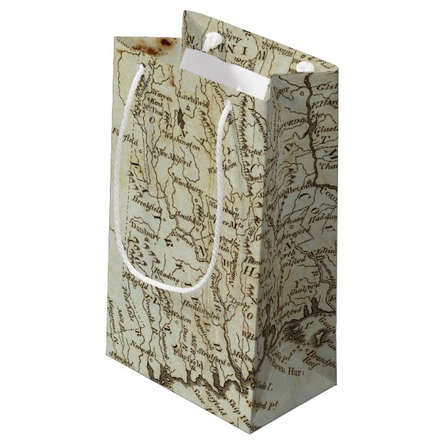 Bolsa De Regalo Pequeña Connecticut 7 (Angulo reverso)