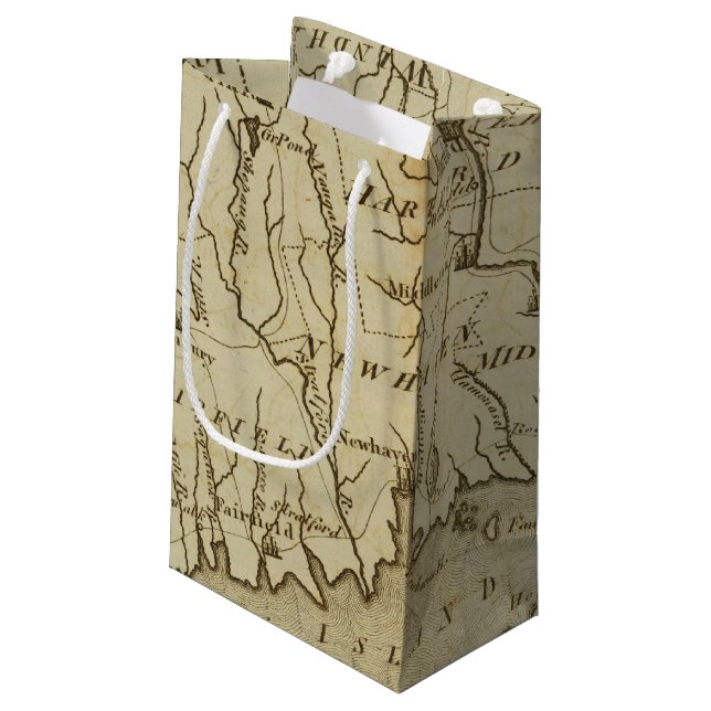 Bolsa De Regalo Pequeña Connecticut 8 (Angulo reverso)