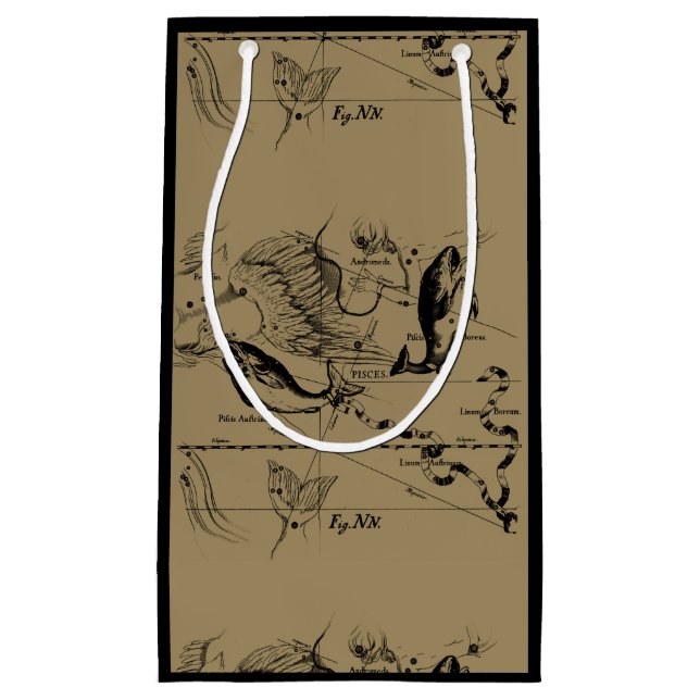 Bolsa De Regalo Pequeña Constelación de Pisces Hevelius 1690 Feb19 - Marzo (Anverso)