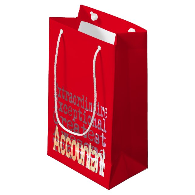 Bolsa De Regalo Pequeña Contable Extraordinaire (Angulo Anverso)
