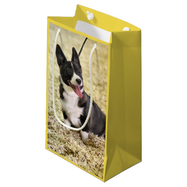 Bolsa De Regalo Pequeña Corgi (Angulo Anverso)