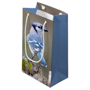 Bolsa De Regalo Pequeña Cuadrillo de Jay azul en Treestump
