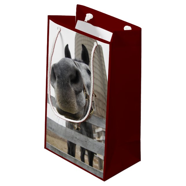 Bolsa De Regalo Pequeña Curso de cierre de caballo (Angulo reverso)