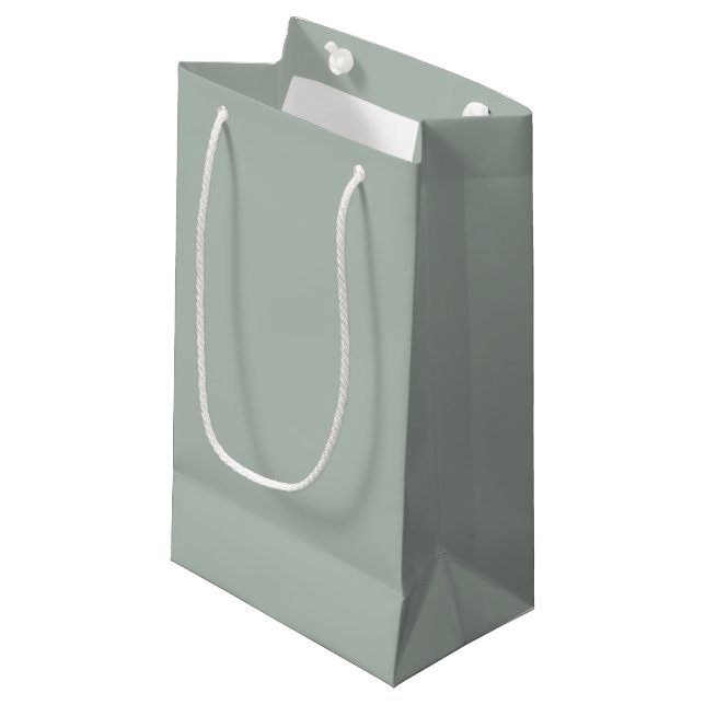 Bolsa de regalo pequeña de Ash Gray (Angulo Anverso)