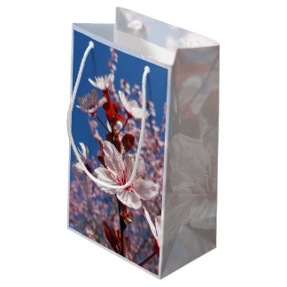 Bolsa de regalo pequeña de floración primaveral po