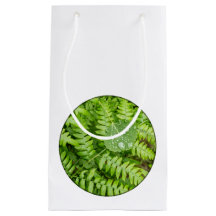 Descensos de la hoja