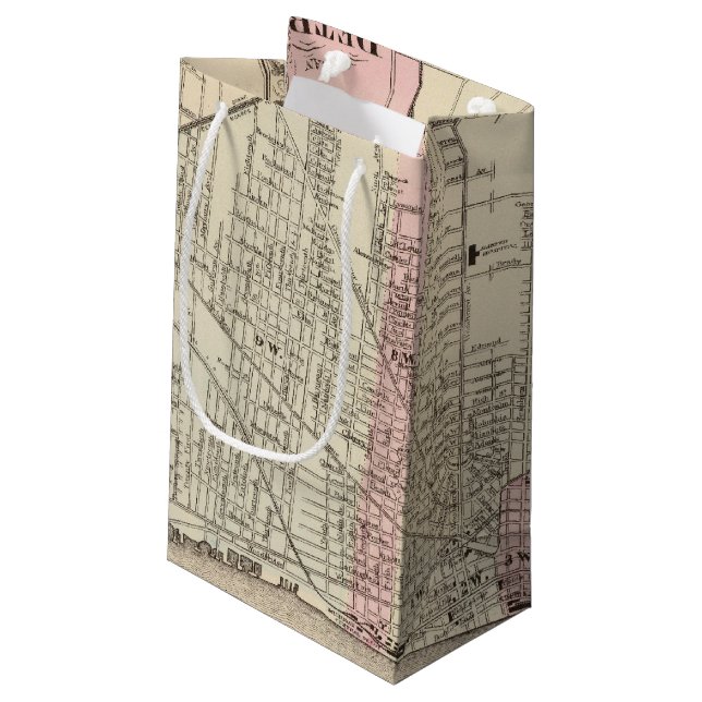 Bolsa De Regalo Pequeña Detroit (Angulo reverso)