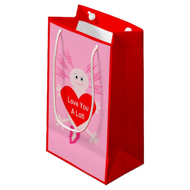 Bolsa De Regalo Pequeña Día de San Valentín Love Heart Axolotl (Angulo Anverso)