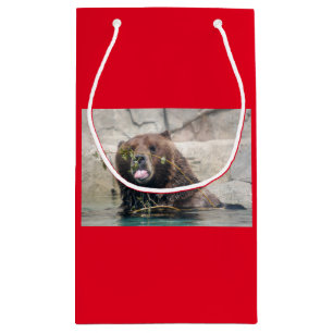 Bolsa De Regalo Pequeña El oso pardo en el agua